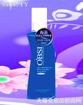 VжŻyƷ޹˾WϺ屣͆ˮ