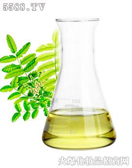 �V��ʢ�������������޹�˾���\���þo�wͨ�j��Ħ����