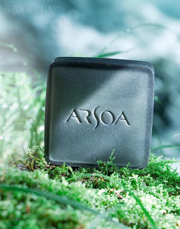 �Ϻ���������Ƽ����޹�˾����ϲ¶ޱ������