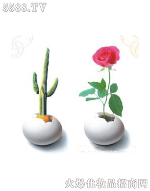 ϺƼ޹˾ǻޏ(f)3ɆT