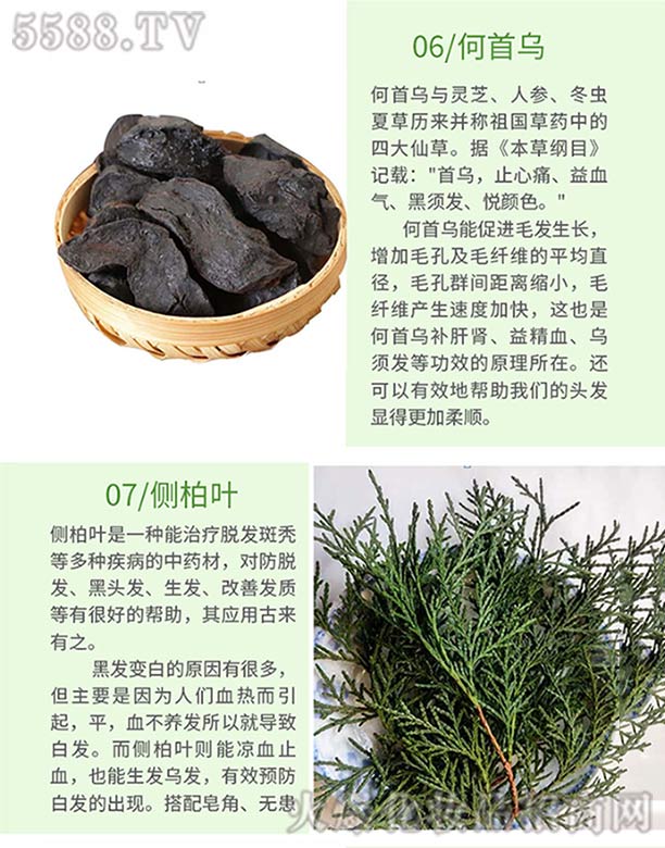 Ȫֿt(y)ˎ޹˾l(f)ѾѾݱֲϴl(f)飨מȰ~