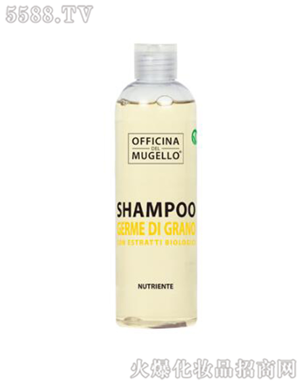 GHQ(mo)ףϺ޹˾½_Сϴl(f)