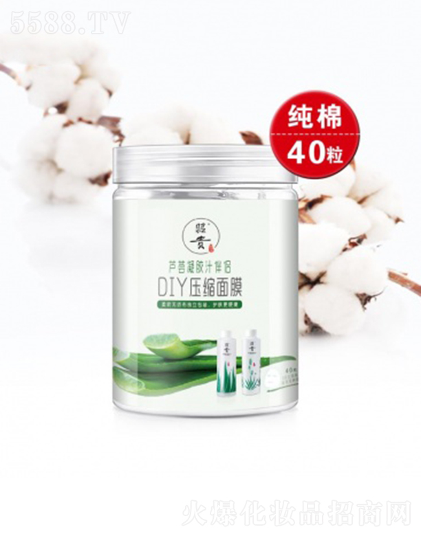 FƼ_(ki)l(f)؟(z)ι˾FDIYsĤ40