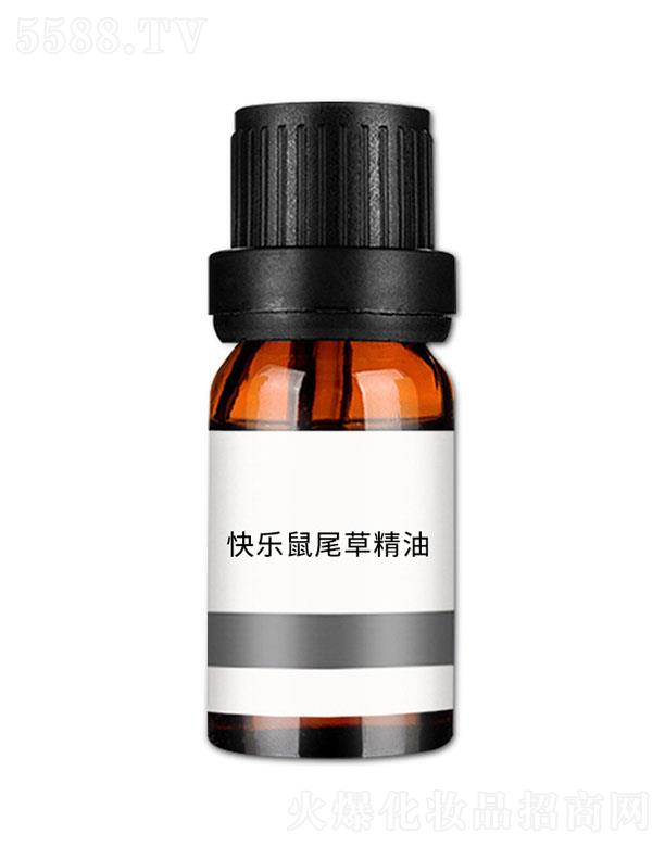 V݊nƼ޹˾n옷(l)βݾ