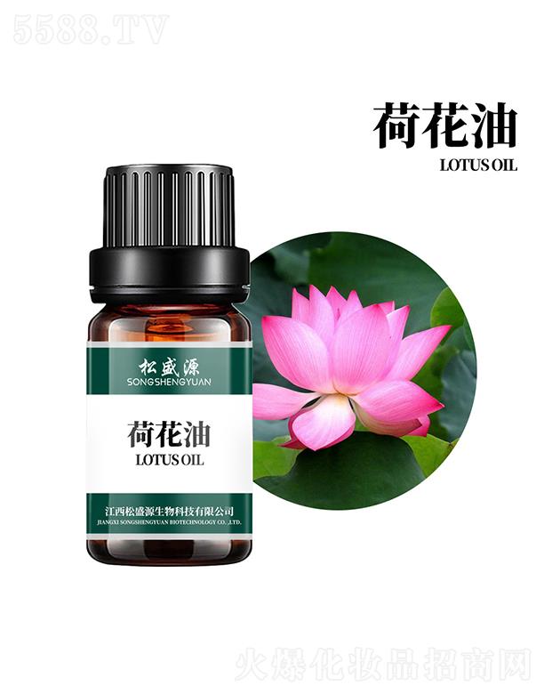 ������ʢԴ����Ƽ����޹�˾����ʢԴ�ɻ���