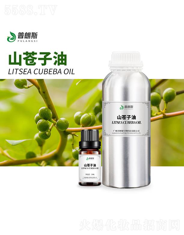 �V������˹����Ƽ����޹�˾������˹ɽ�}(c��ng)����