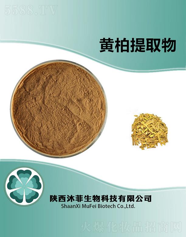 ����������Ƽ����޹�˾������S����ȡ��