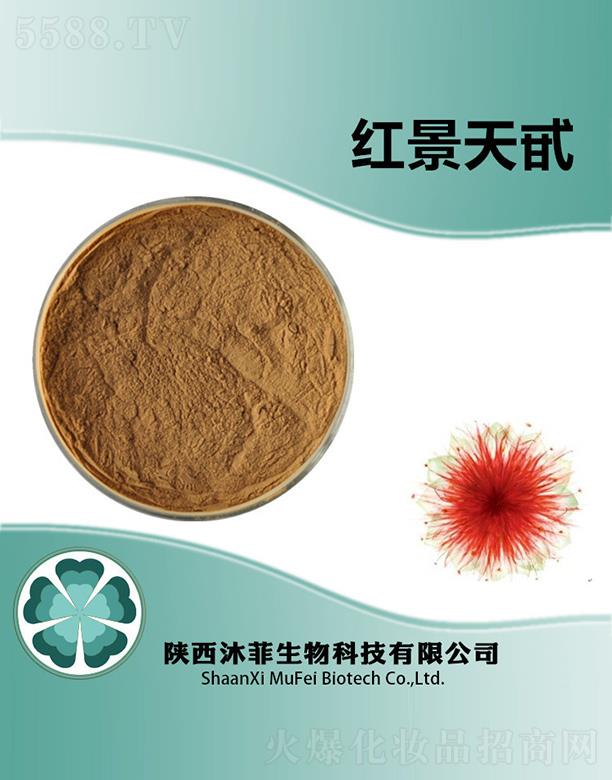 ����������Ƽ����޹�˾����Ƽt����߰