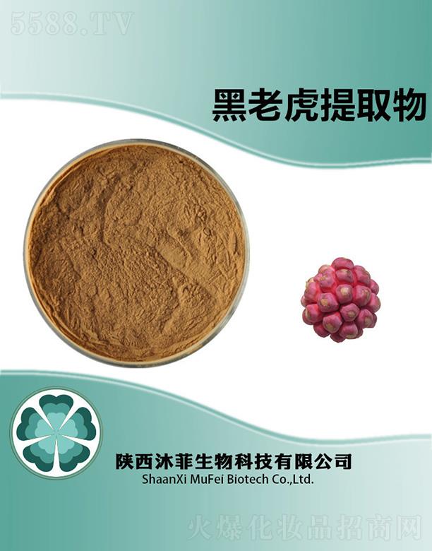 ����������Ƽ����޹�˾����ƺ��ϻ���ȡ��