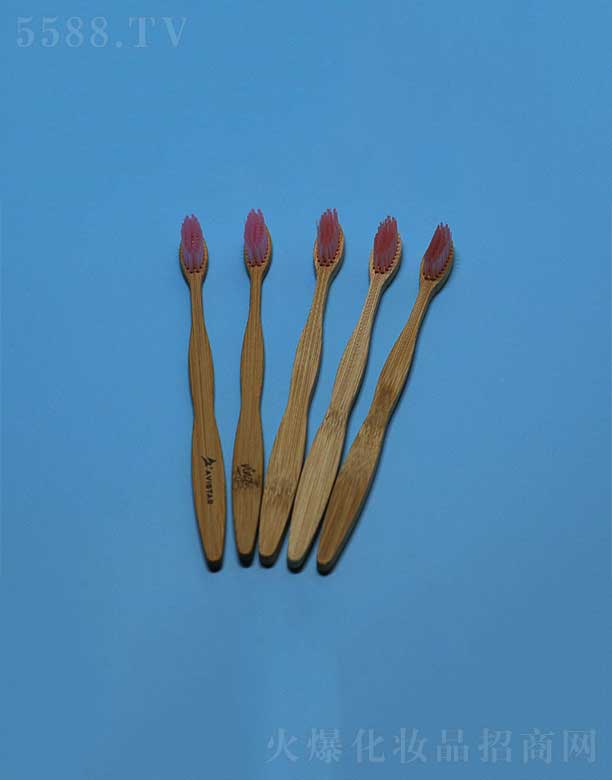 �P�ݻ��i�ջ���Ʒ���޹�˾���h(hu��n)�������ˢEFBH-010