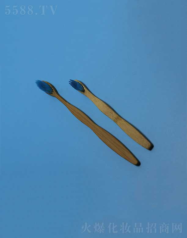 �P�ݻ��i�ջ���Ʒ���޹�˾���h(hu��n)�������ˢEFBH-007