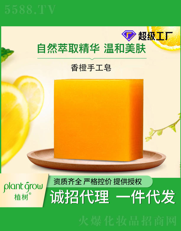 �V�|�������Ƽ����޹�˾��ֲ������ֹ���