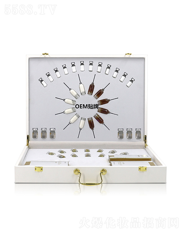 �V�ݼ�������Ƽ����޹�˾������������OEM���ӹ�