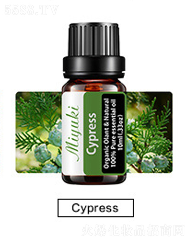 �V���׋I����Ƽ����޹�˾���o(h��)�w��޹��Ħ��-cypress��ľ