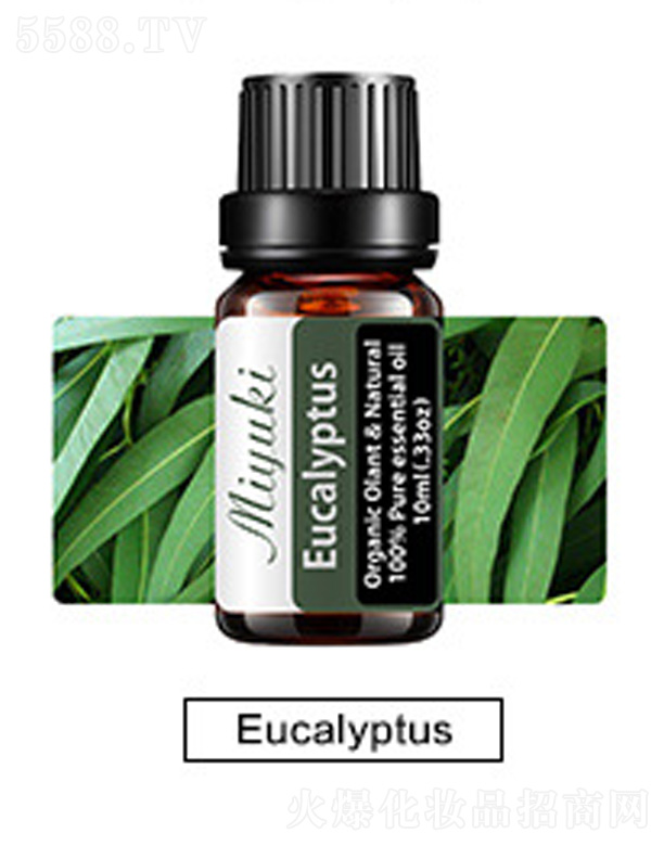�V���׋I����Ƽ����޹�˾���o(h��)�w��޹��Ħ��-Eucalyptus���(sh��)