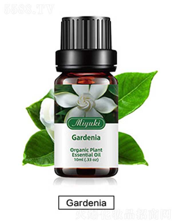 �V���׋I����Ƽ����޹�˾���o(h��)�w��޹��Ħ��-Gardenia�d��