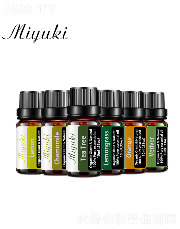 �V���׋I����Ƽ����޹�˾���¿�η�����6����