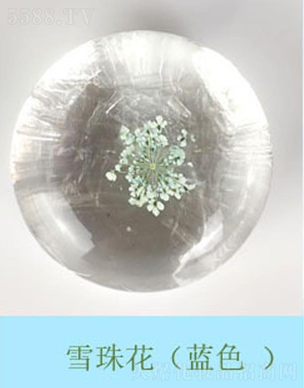 �V���к����m����Ƽ����޹�˾���������r����ѩ�黨-�{ɫ