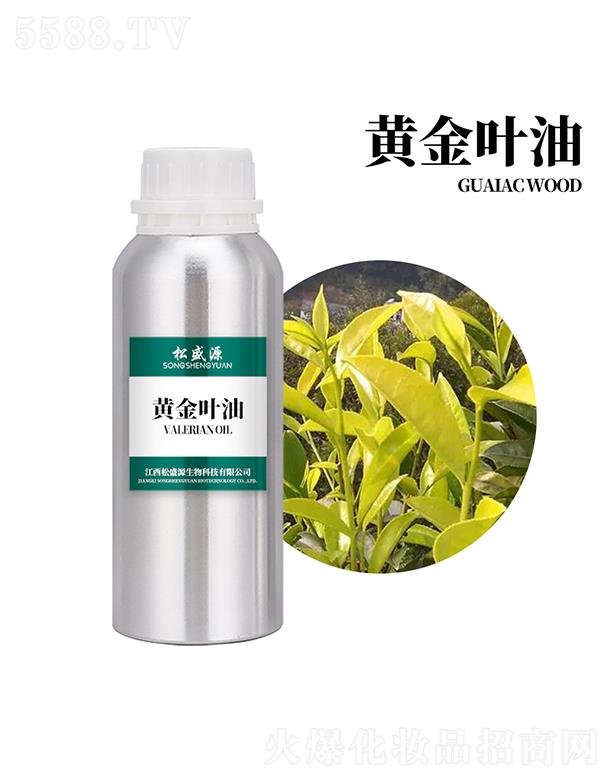 ������ʢԴ����Ƽ����޹�˾����ʢԴ�S���~��