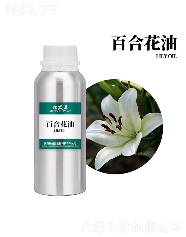 ������ʢԴ����Ƽ����޹�˾����ʢԴ�ٺϻ���