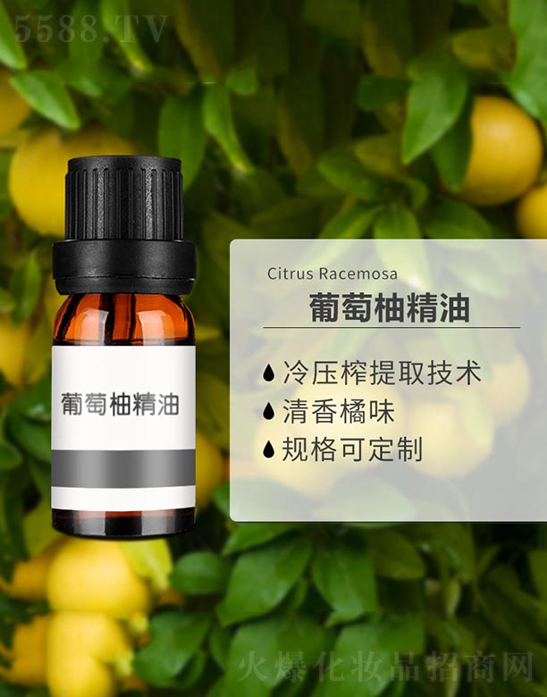 ����ɭ����Ƽ�(���u)���޹�˾�������־���