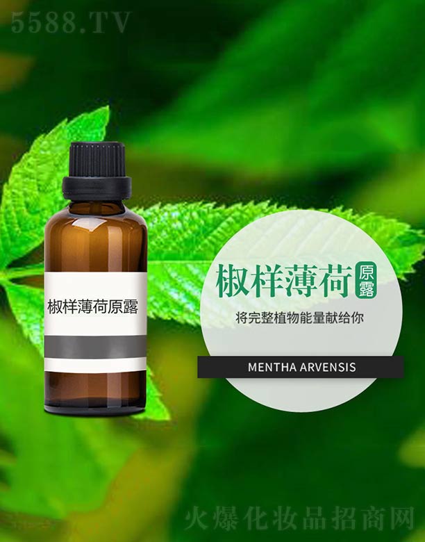 ����ɭ����Ƽ�(���u)���޹�˾�����ӱ���ԭ¶