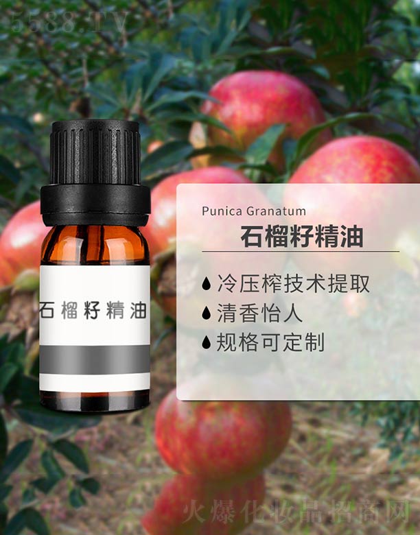 ����ɭ����Ƽ�(���u)���޹�˾��ʯ���Ѿ���