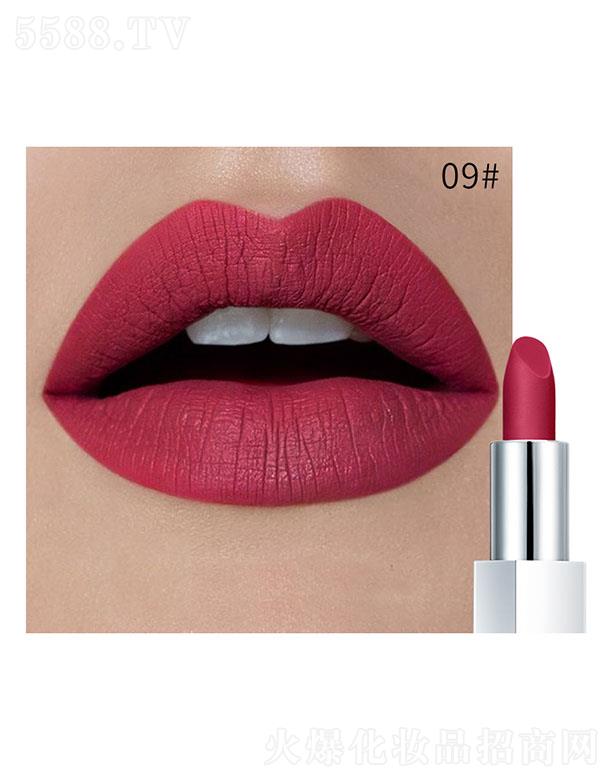 ���ڐ�ӯ�Q�����޹�˾��Pudaier�貽z�q�ڼt09#