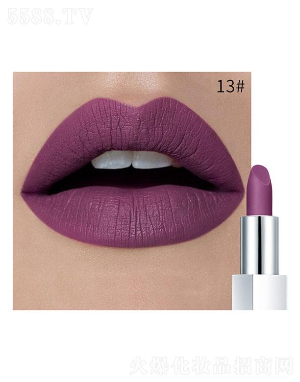 ���ڐ�ӯ�Q�����޹�˾��Pudaier�貽z�q�ڼt13#