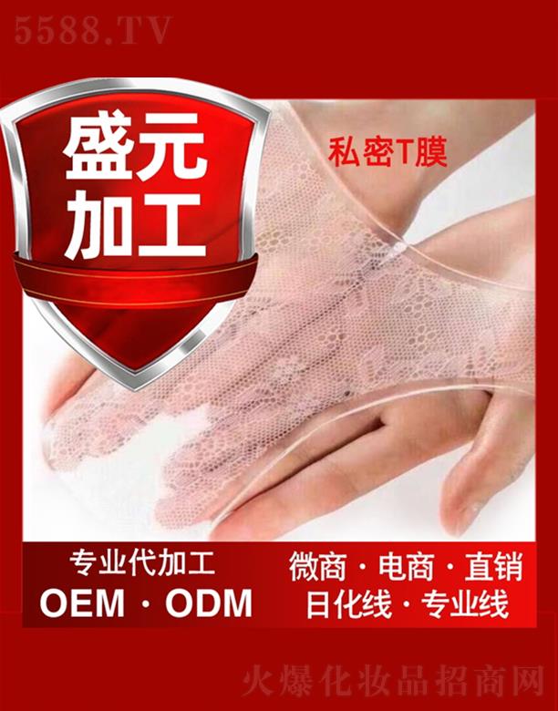 �V��ʢԪˎ�I(y��)���޹�˾��ʢԪˎ�I(y��)˽��TĤ���ӹ�