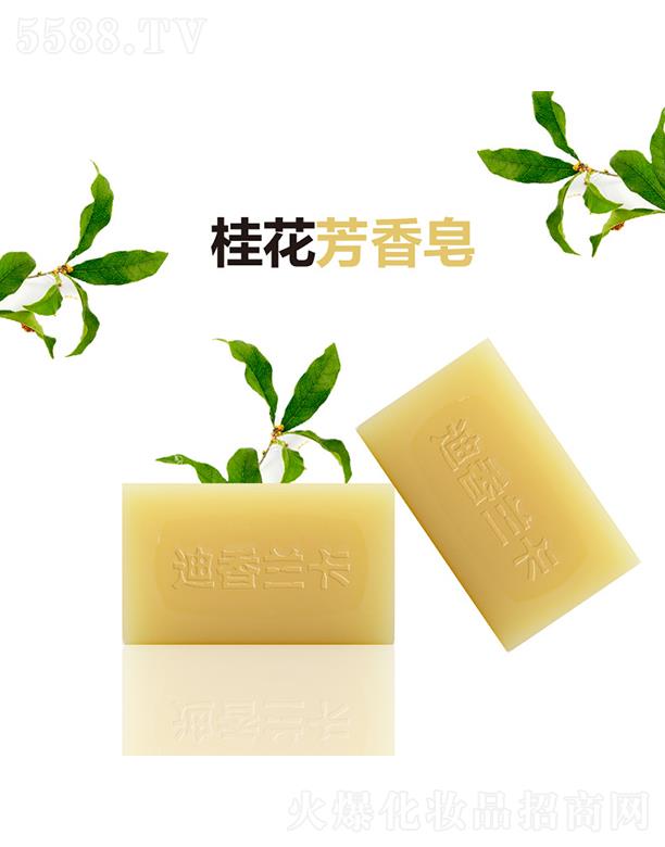 �mϪ�м΃|����Ʒ���޹�˾�������m���𻨷����� ͸����ֲ��ɷ�ϴ����