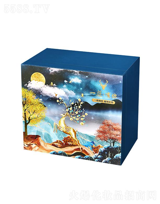 �|ݸ����ɭ����(y��ng)朹������޹�˾��һ¹�����̽��@���y����(l��)�Y��