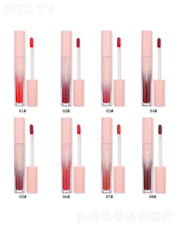 㽭Ƽ޹˾Colorinaۿu׃wL  ܽجԷ۹ܴ