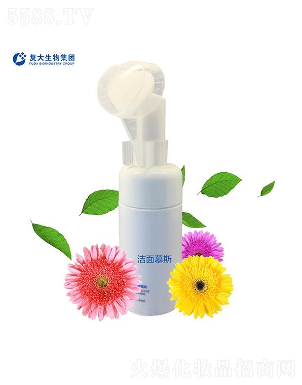 ɽ�|��(f��)������Ƽ����޹�˾����(f��)�����Ｏ�F����Ľ˹���ӹ�