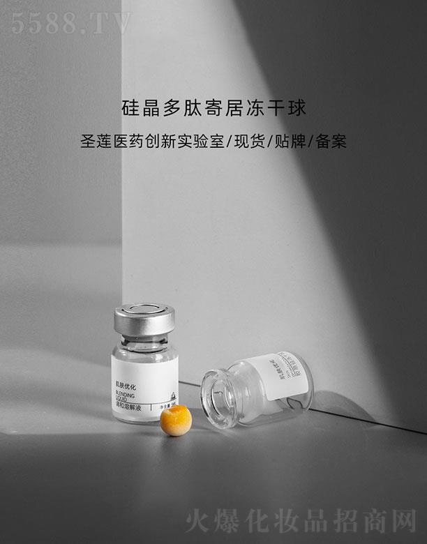 �V��ʥɏ�t(y��)ˎ�Ƽ����޹�˾���V��ʥɏ  ʥɏ�辧���ļľӃ�����   �����o��   ë���ռ�