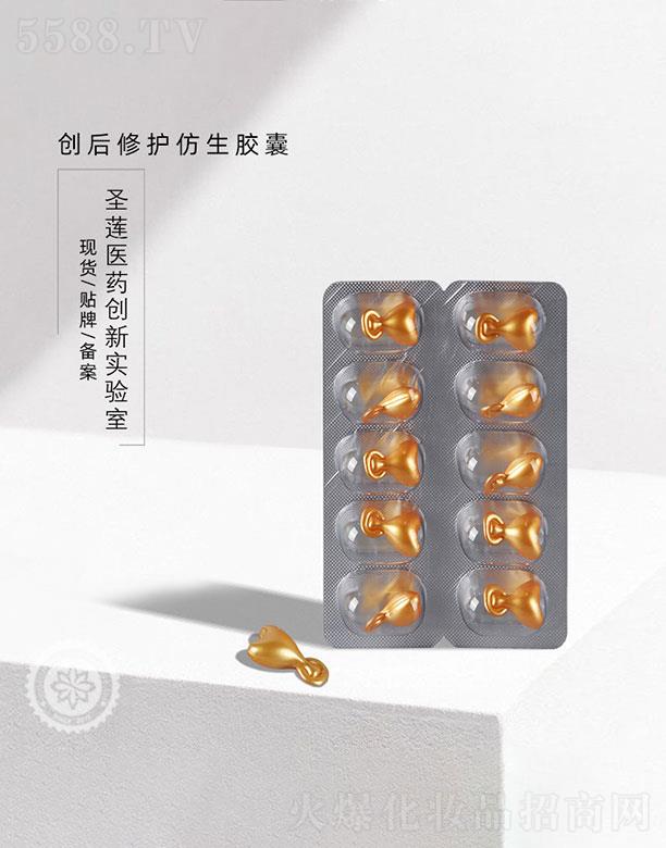 �V��ʥɏ�t(y��)ˎ�Ƽ����޹�˾���V��ʥɏ   ʥɏ��(chu��ng)�����o�����z��   ���o���w