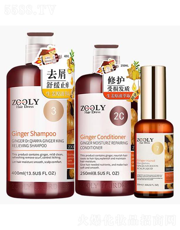 �ɶ�׿�{���̄�(w��)��Ϣ��ԃ���޹�˾��ZOOLY-׿�{��ȥмֹ�W��ͥ�o���׽M��3֧�b��