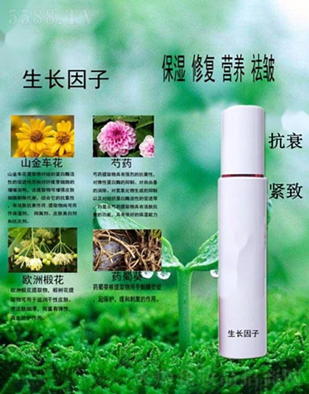 �V�������t(y��)ˎ����Ƽ����޹�˾�������ޏ�(f��)���A