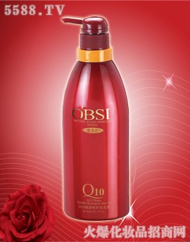 VжŻyƷ޹˾WQ10ϴoϵ