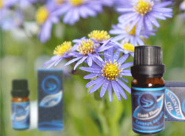 �Ϻ��ض���(gu��)�H�Q(m��o)�����޹�˾