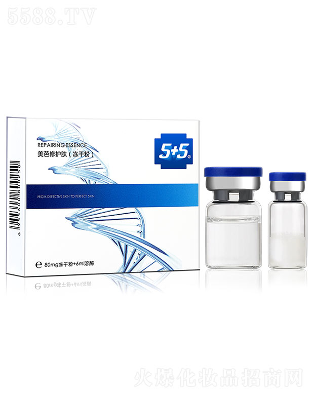 5+5�������o(h��)�ģ����ɷۣ�