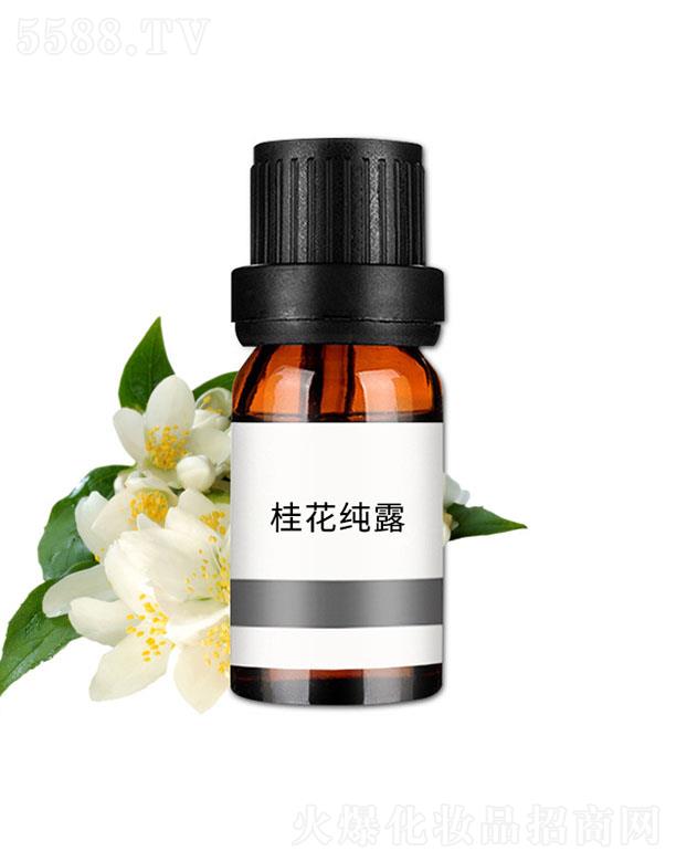 ���n�𻨼�¶