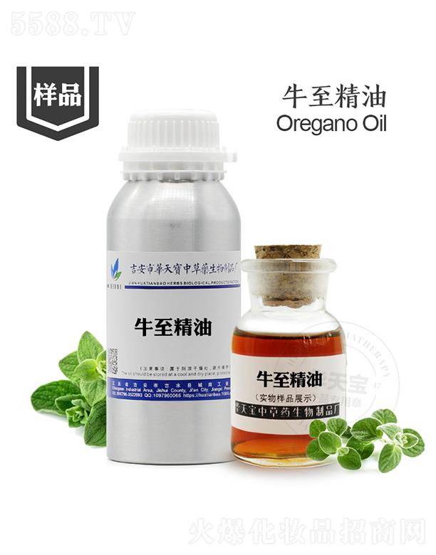 �A�쌚ţ������