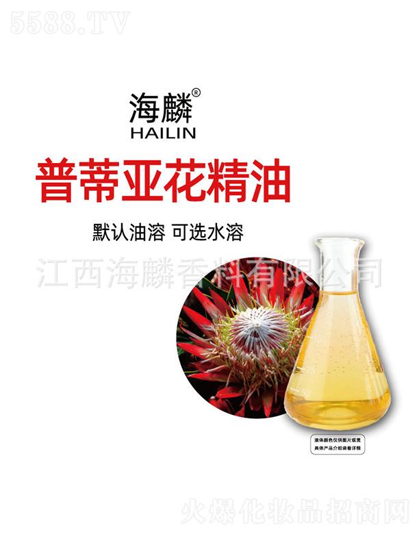 �����յف�������