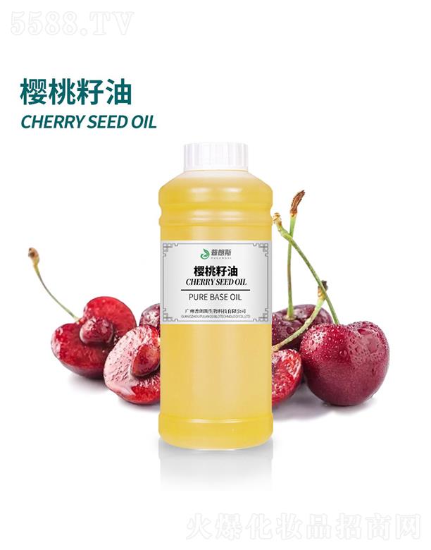 ����˹��������