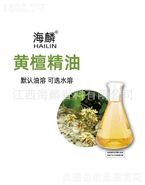 �����S̴����