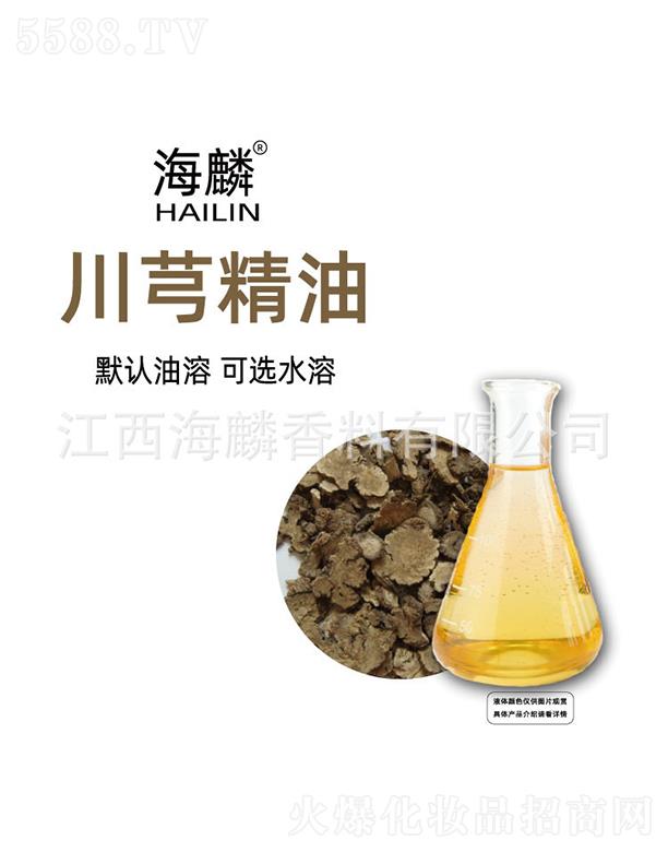 ���봨ܺ����