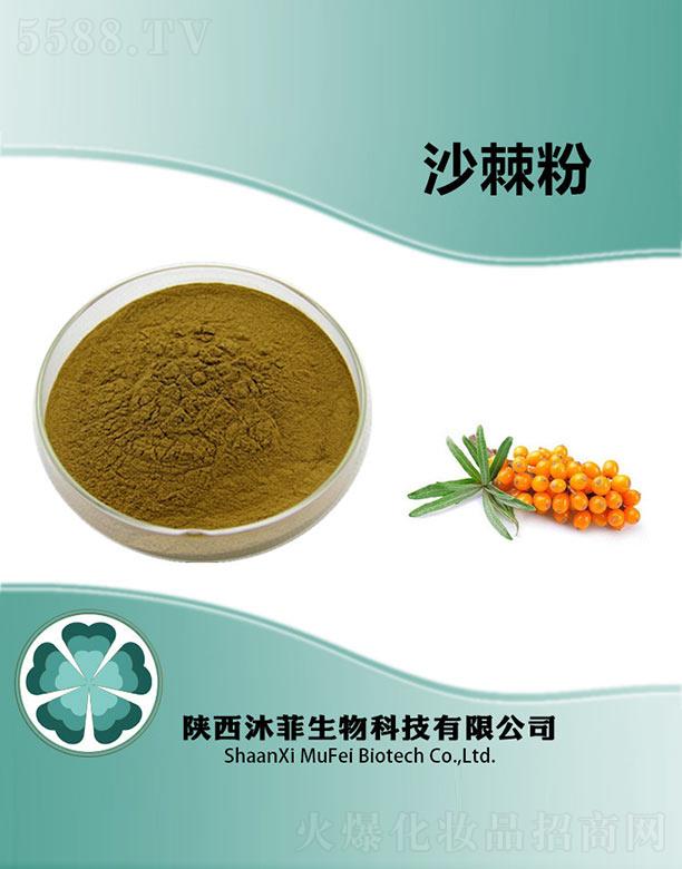 ���ɳ����