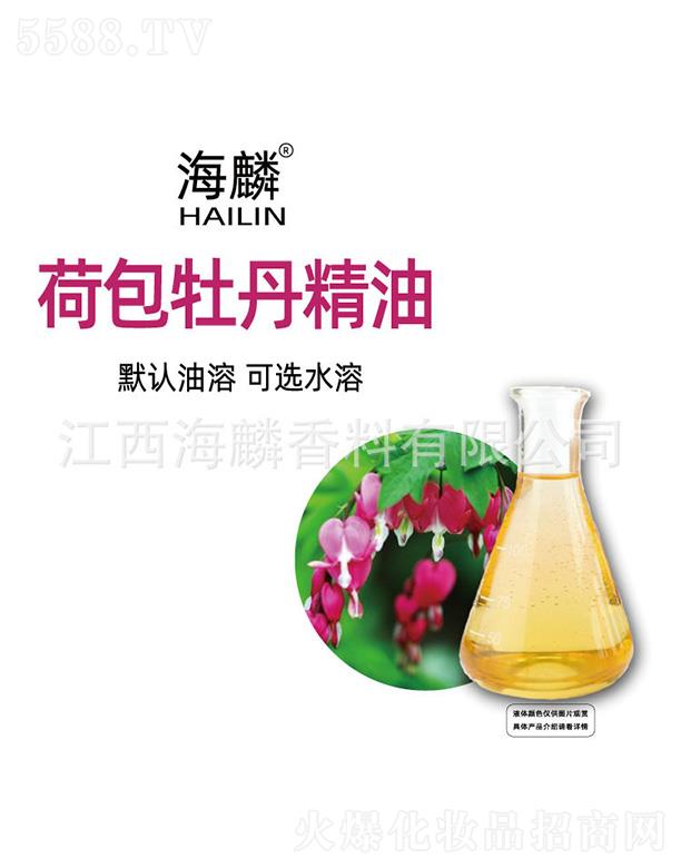 ����ɰ�ĵ������