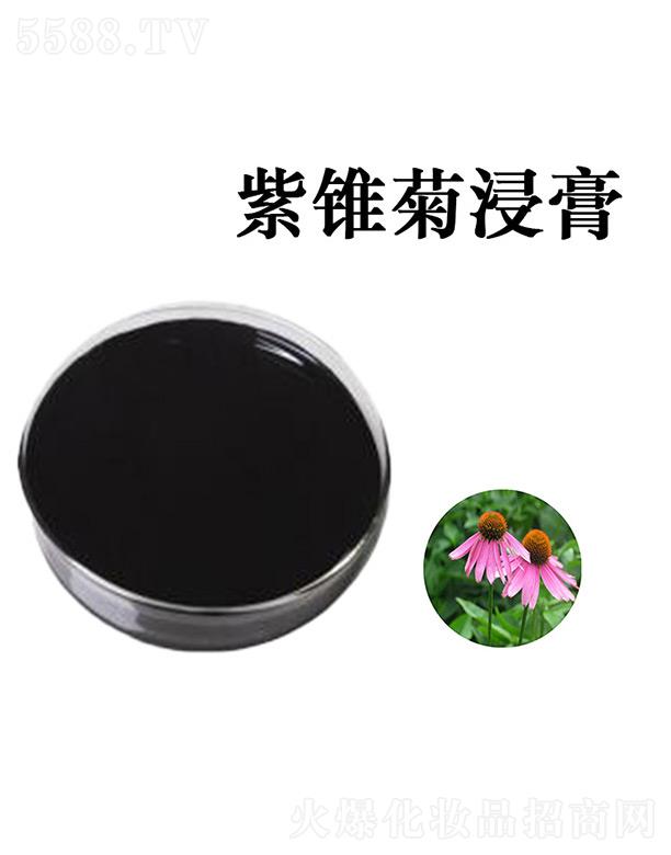 �G�R���F�ս���